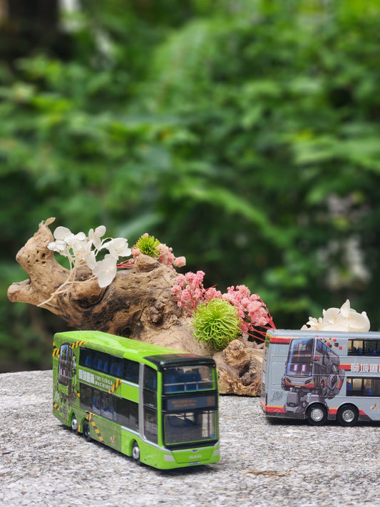Bus toy , Singapore, service 991