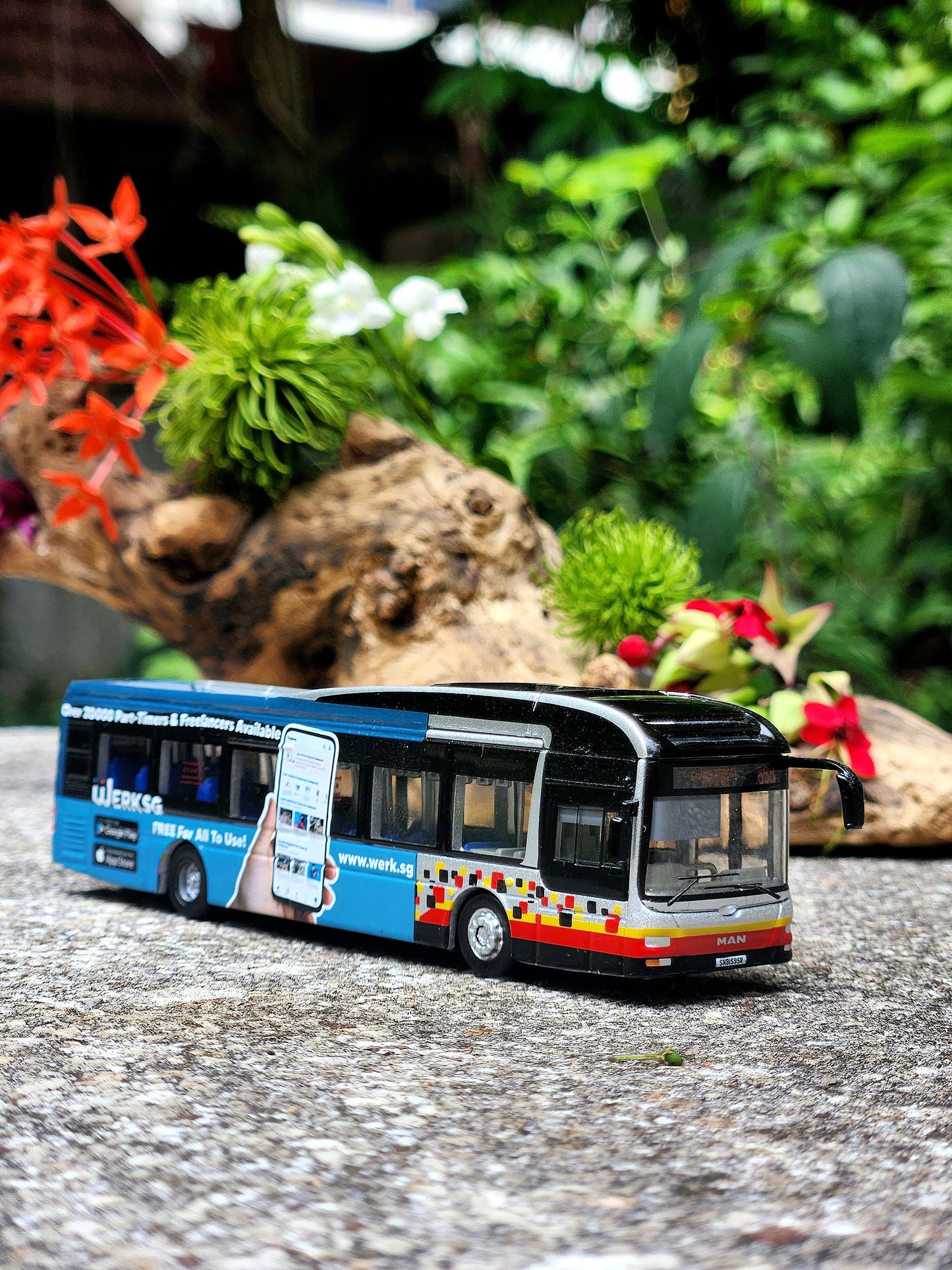 Bus Singapore, toy , service 858 to Changi Airport