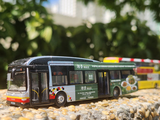 Bus toy Singapore, service 61