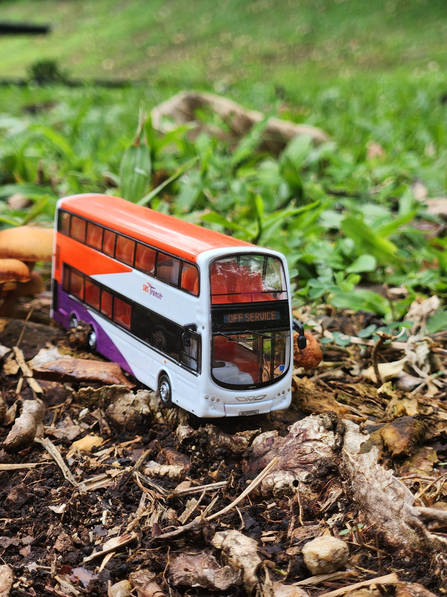 Bus singapore,  off service