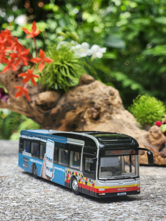 Bus Singapore, toy , service 858 to Changi Airport