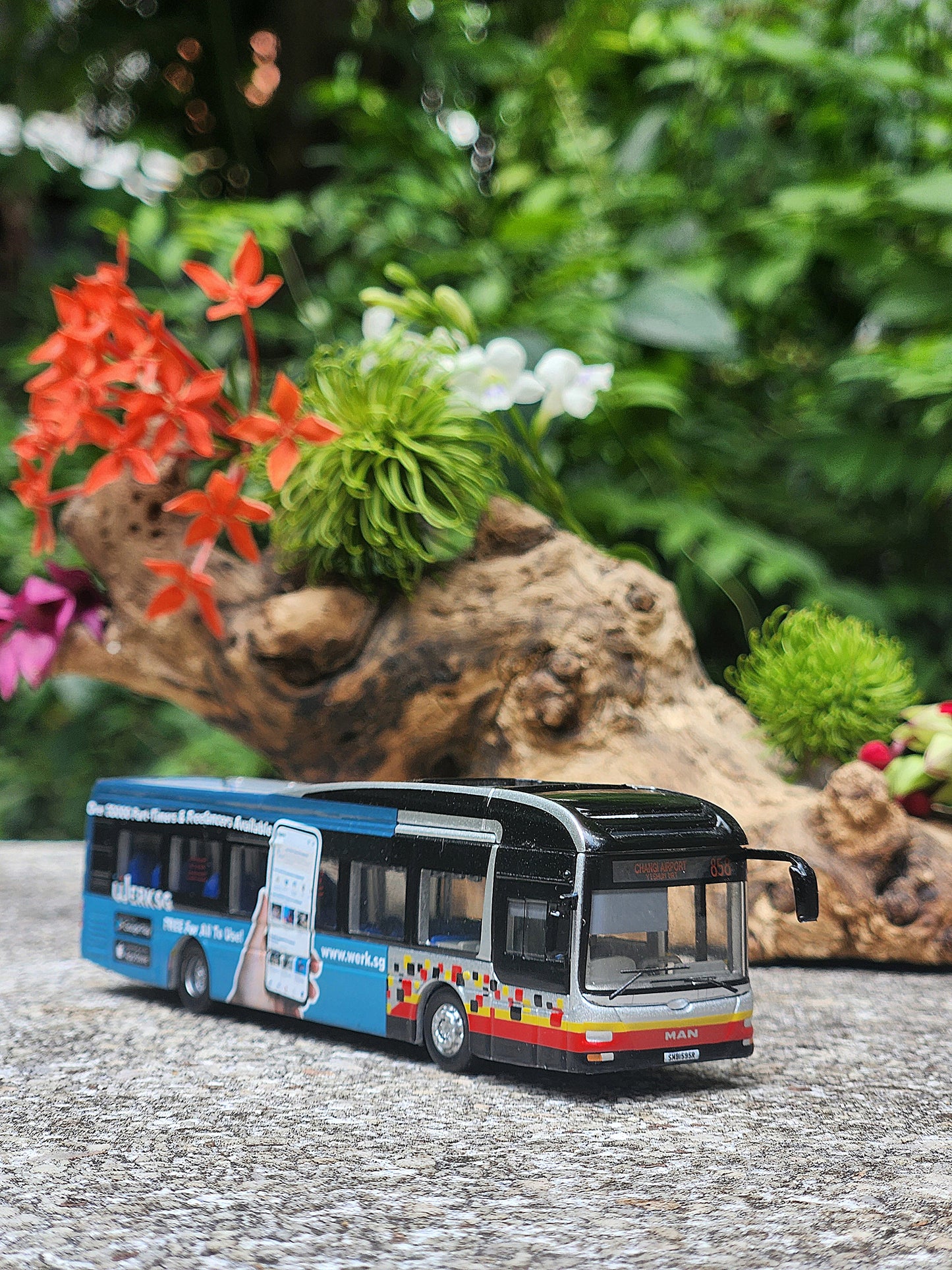 Bus Singapore, toy , service 858 to Changi Airport