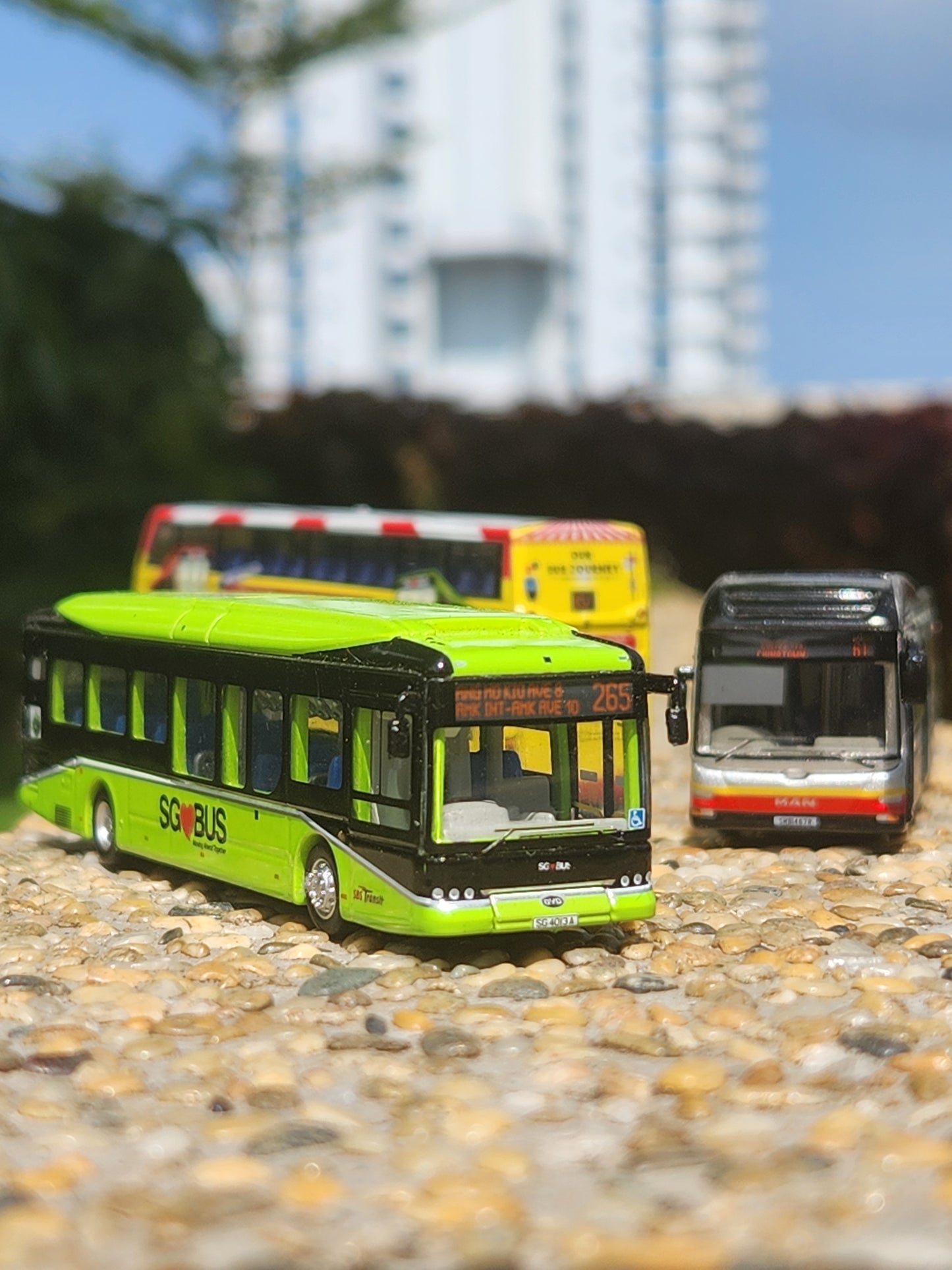Bus toy Singapore, service 265