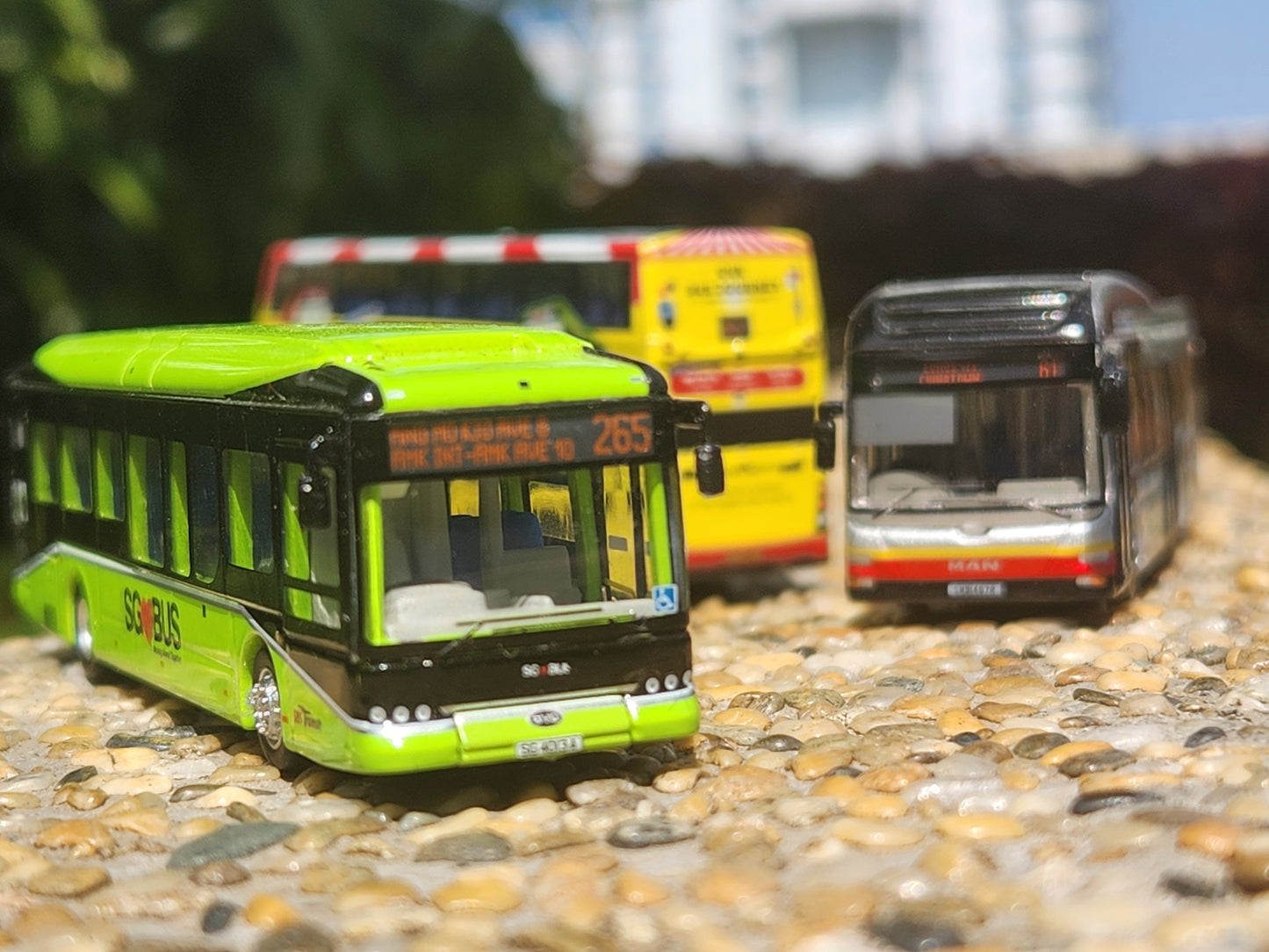 Bus toy Singapore, service 265