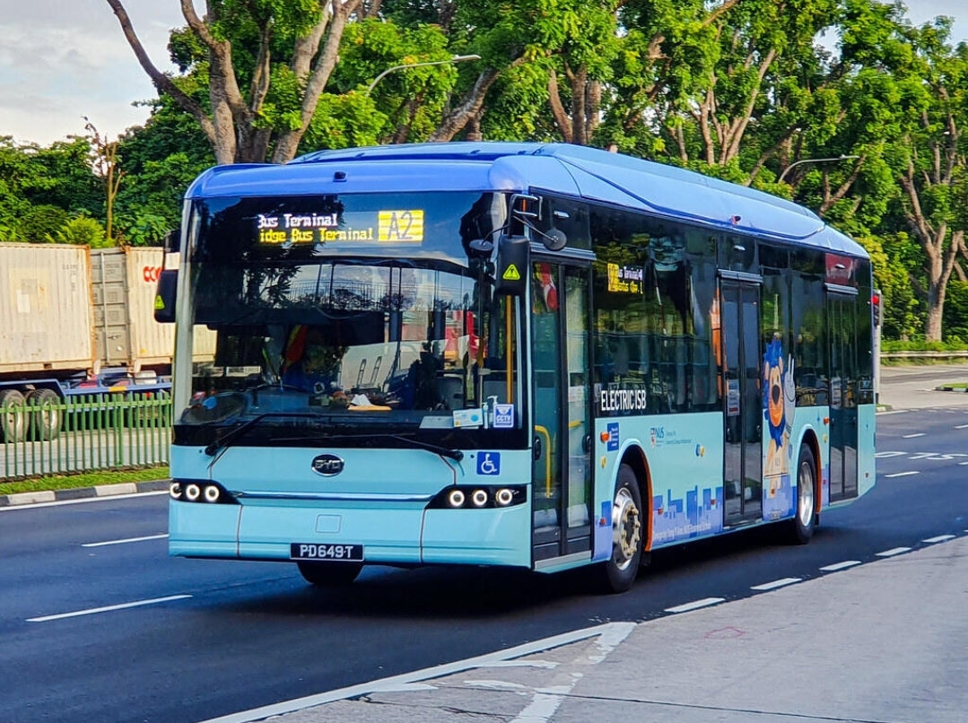 BUS TOY SINGAPORE, NUS DOMESTIC SERVICE