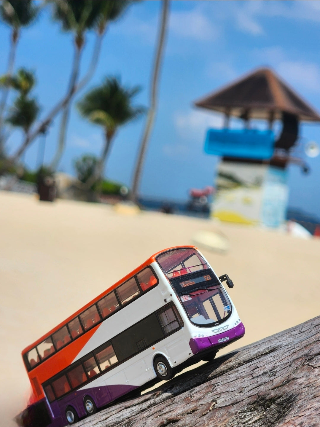 Bus Singapore, toy , service 123,double decker